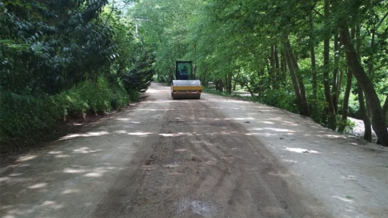 Çınarlıdere Mesire Alanı’na yürüyüş yolu düzenlemesi