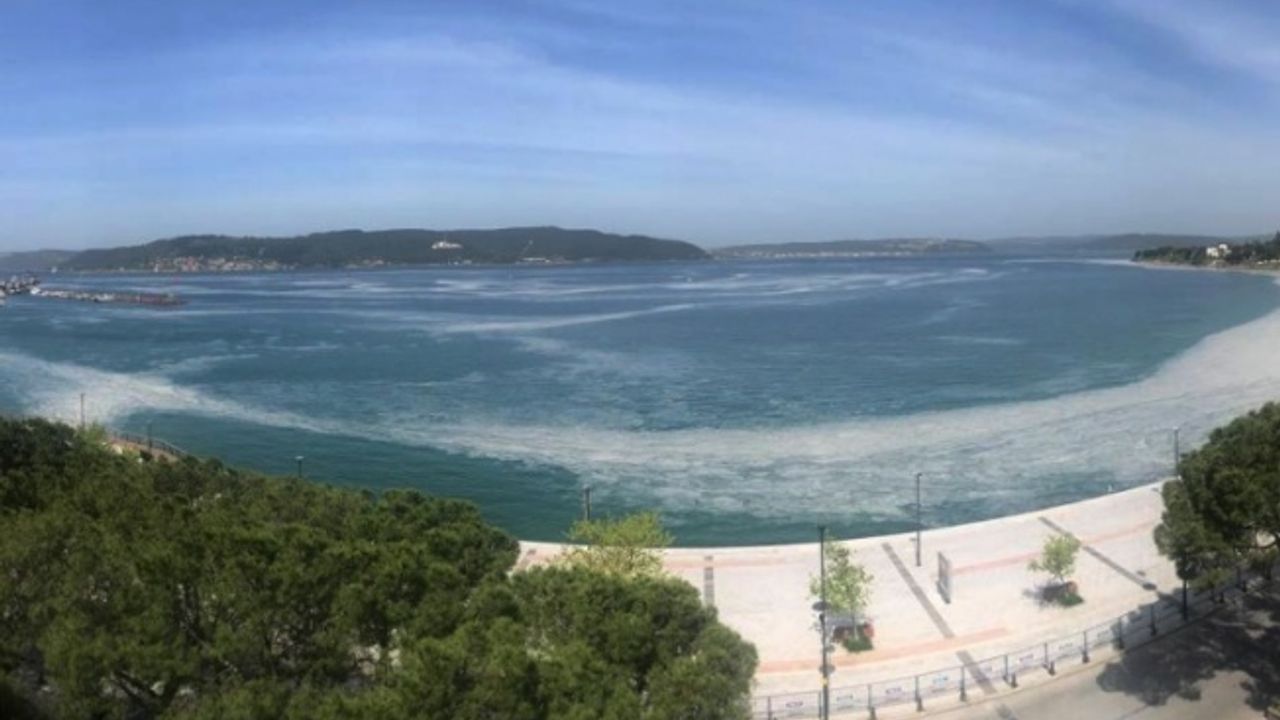 Çanakkale Boğazı'nda da görülen "deniz salyası" Marmara Denizi'nde balıkçılığı tehdit ediyor