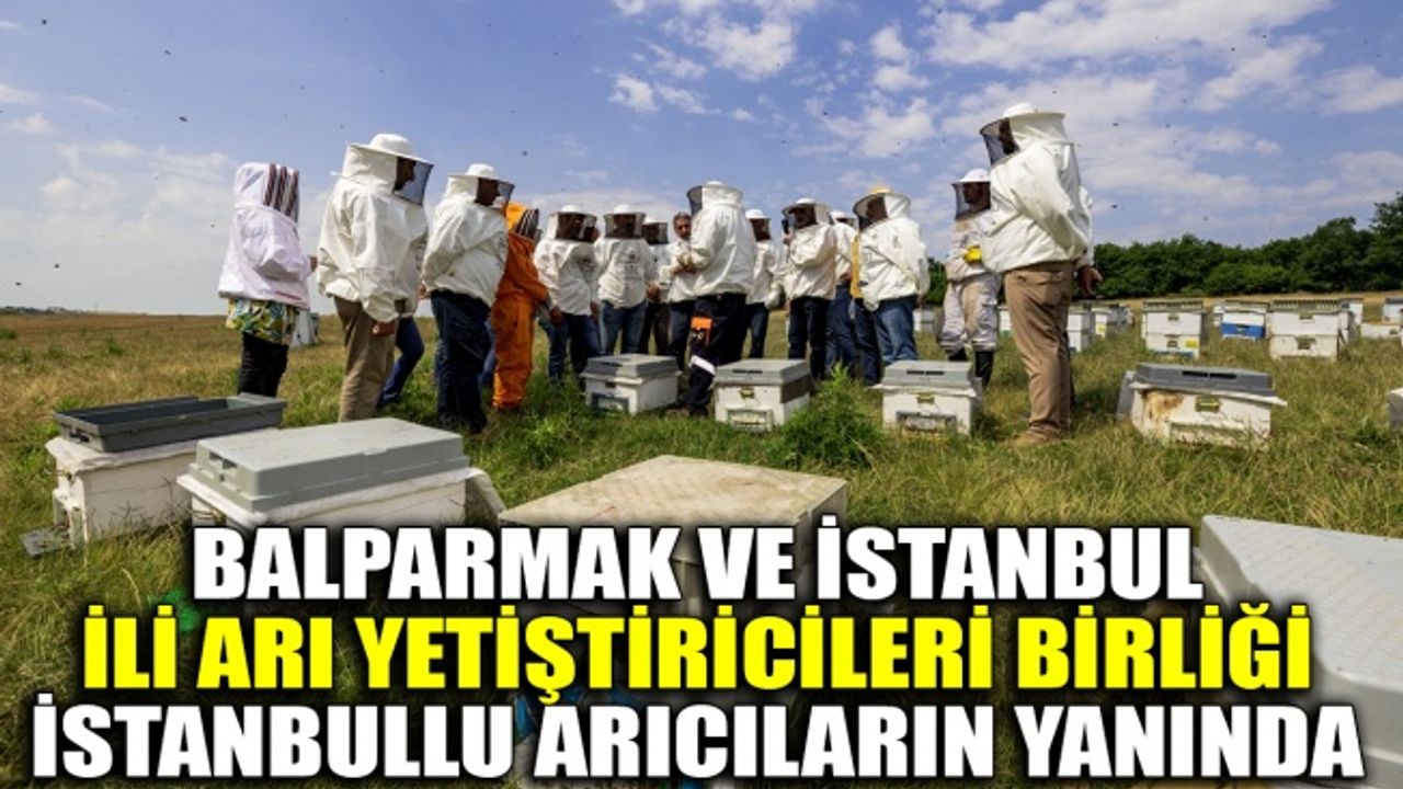 Balparmak ve İstanbul İli Arı Yetiştiricileri Birliği İstanbullu arıcıların yanında