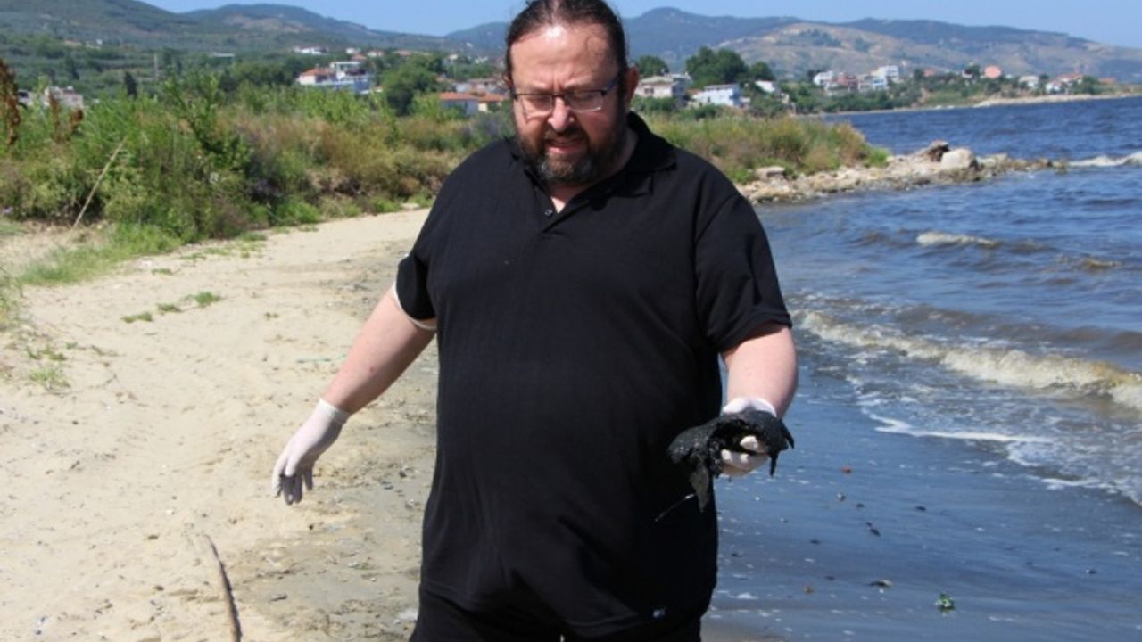 Bandırma Körfezi'nde kıyıya yakın bölgelerde müsilaj etkisi sürüyor