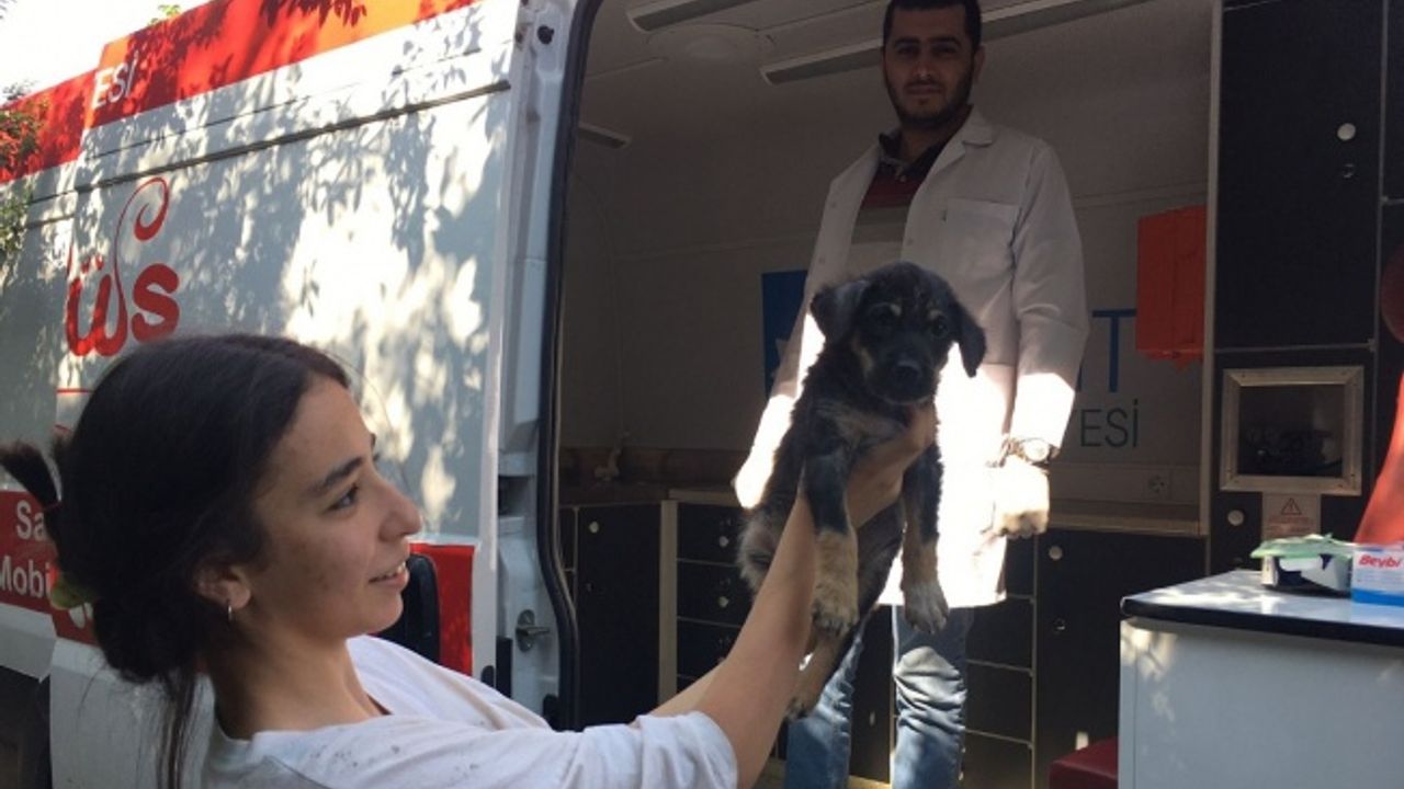 Kocaeli İzmit Belediyesi can dostlarının her zaman yanında