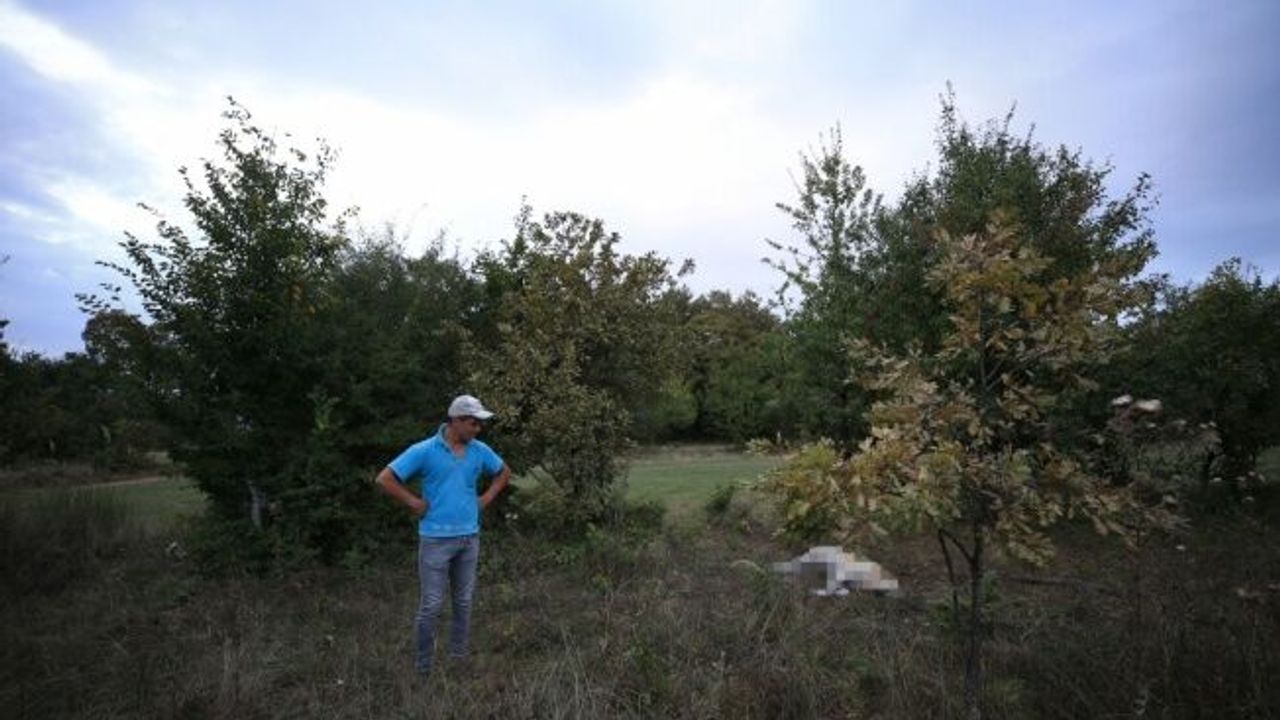 Kırklareli Valiliğinden, köpeği telef ettiği öne sürülen muhtara soruşturma