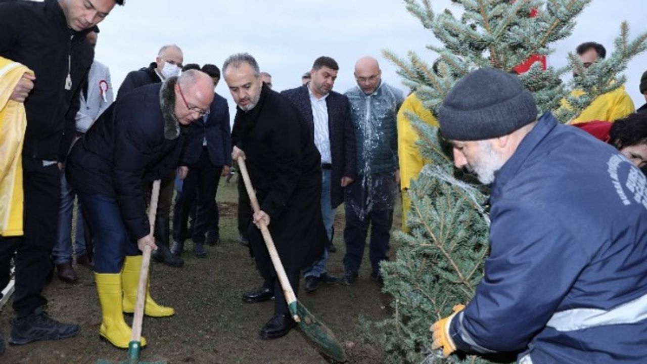 Bursa'da 41 bin 901 fidan toprakla buluştu