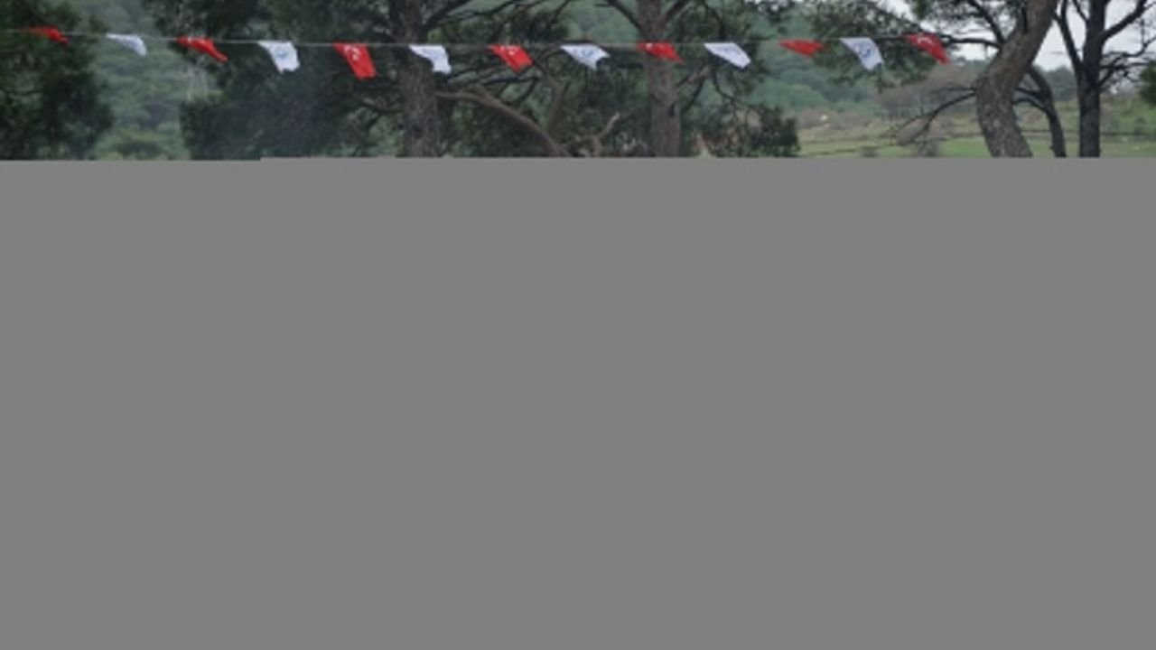 Balıkesir'de "Geleneksel 23. Pelitköy Deve Güreşleri" yapıldı