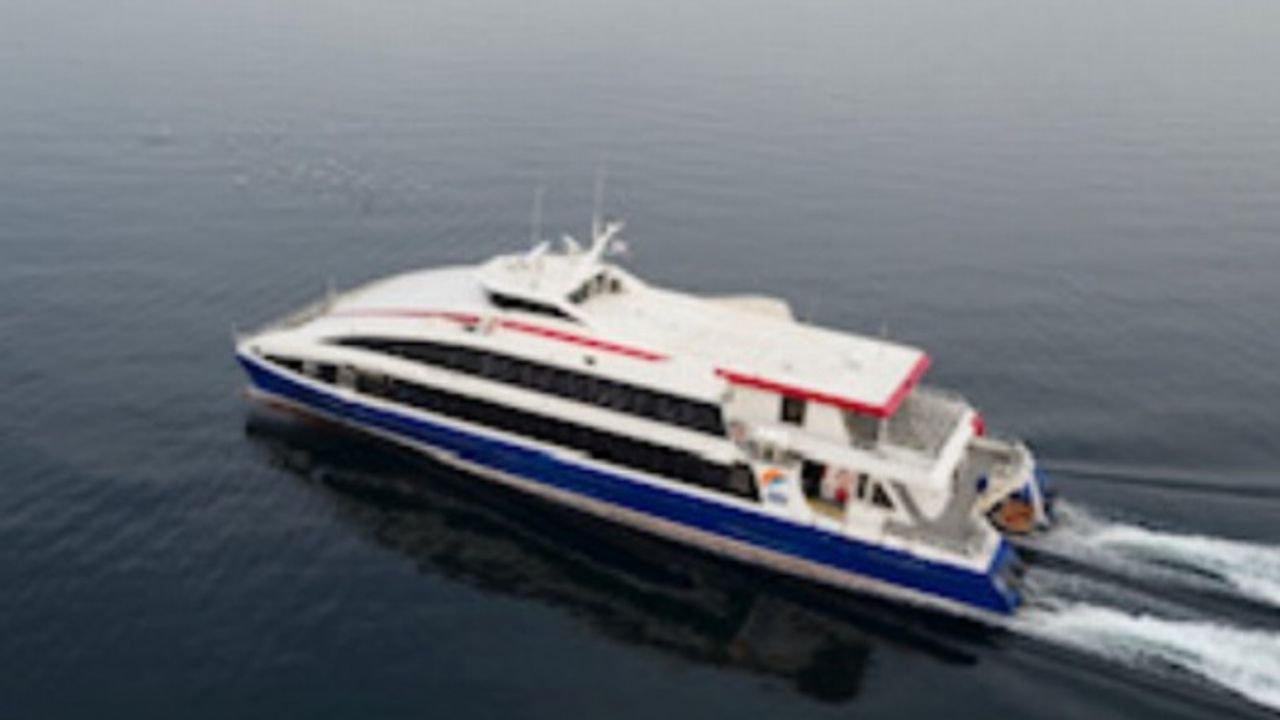 İDO ‘kağıtsız ofis’ modeliyle ağaçları koruyor