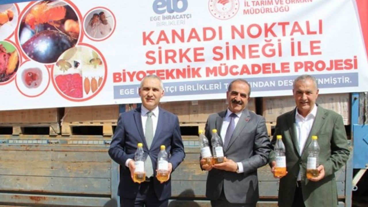 Manisa'da sirke sineği için 50 bin tuzak dağıtılıyor