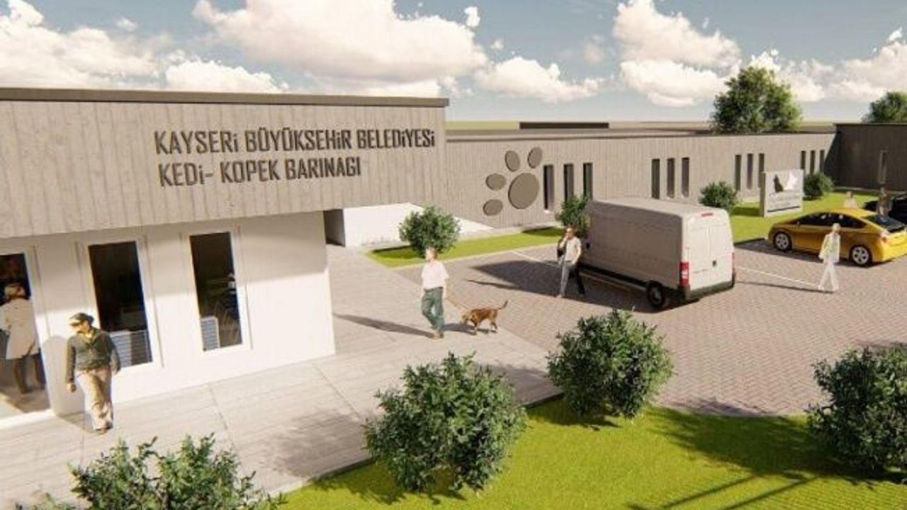 Türkiye'nin en modern hayvan barınağı Kayseri'ye yapılıyor 