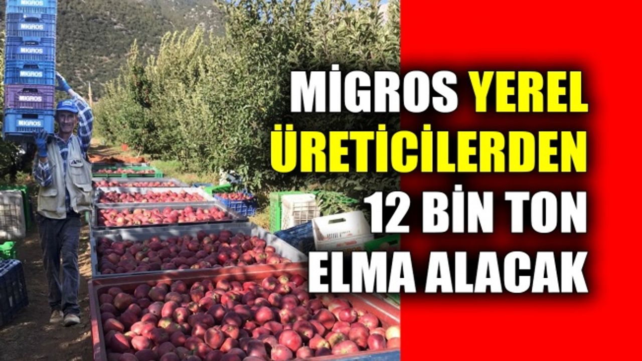 Migros yerel üreticilerden 12 bin ton elma alacak