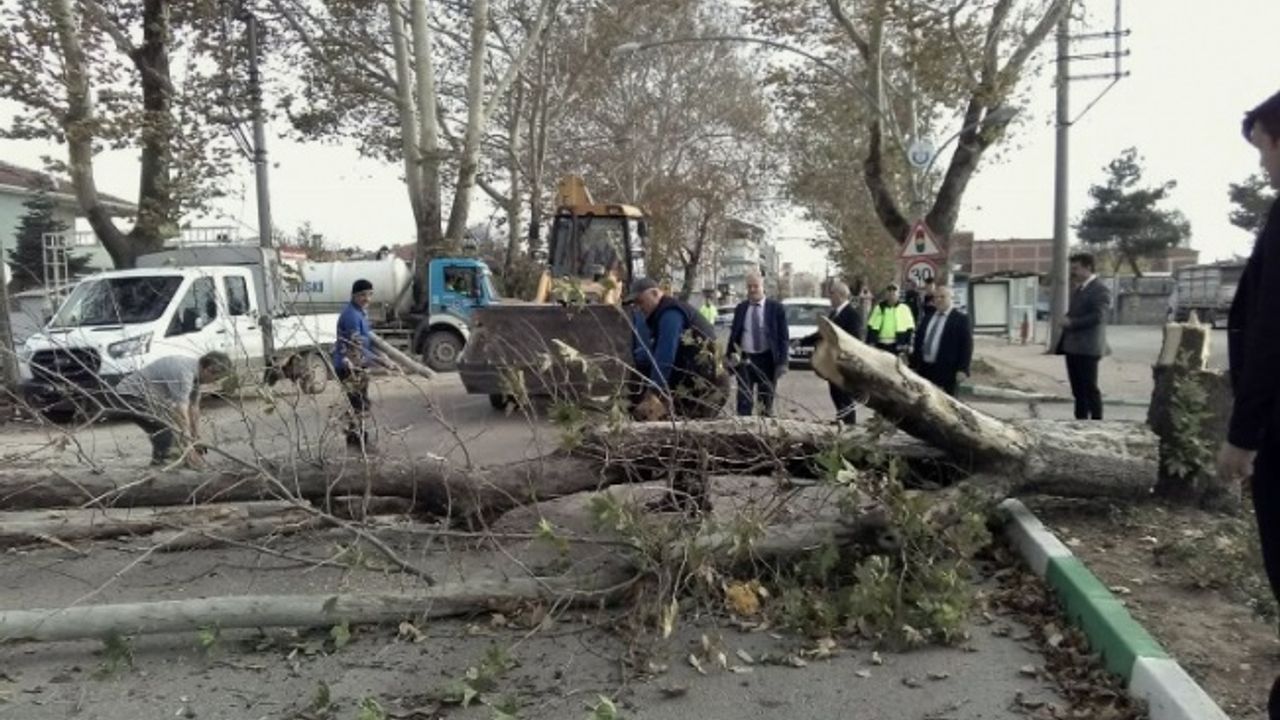 Bursa'da lodos Yenişehir'de de etkili oldu