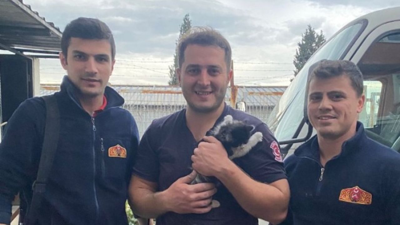 Kocaeli'de duvara sıkışan yavru kediyi itfaiye kurtardı