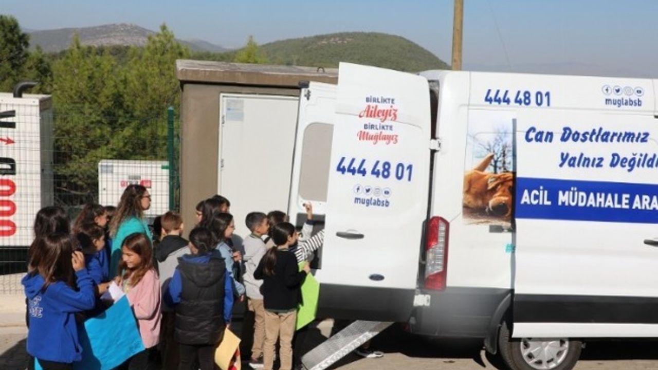 Muğla'da can dostlar için 'Acil Müdahale Aracı' devrede