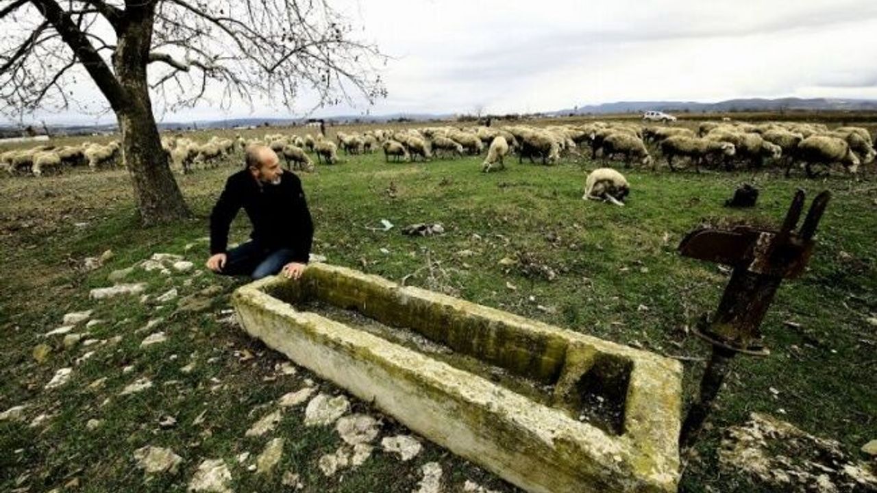 Bursa Yenişehir Ovası'nda yer altı suları çekiliyor