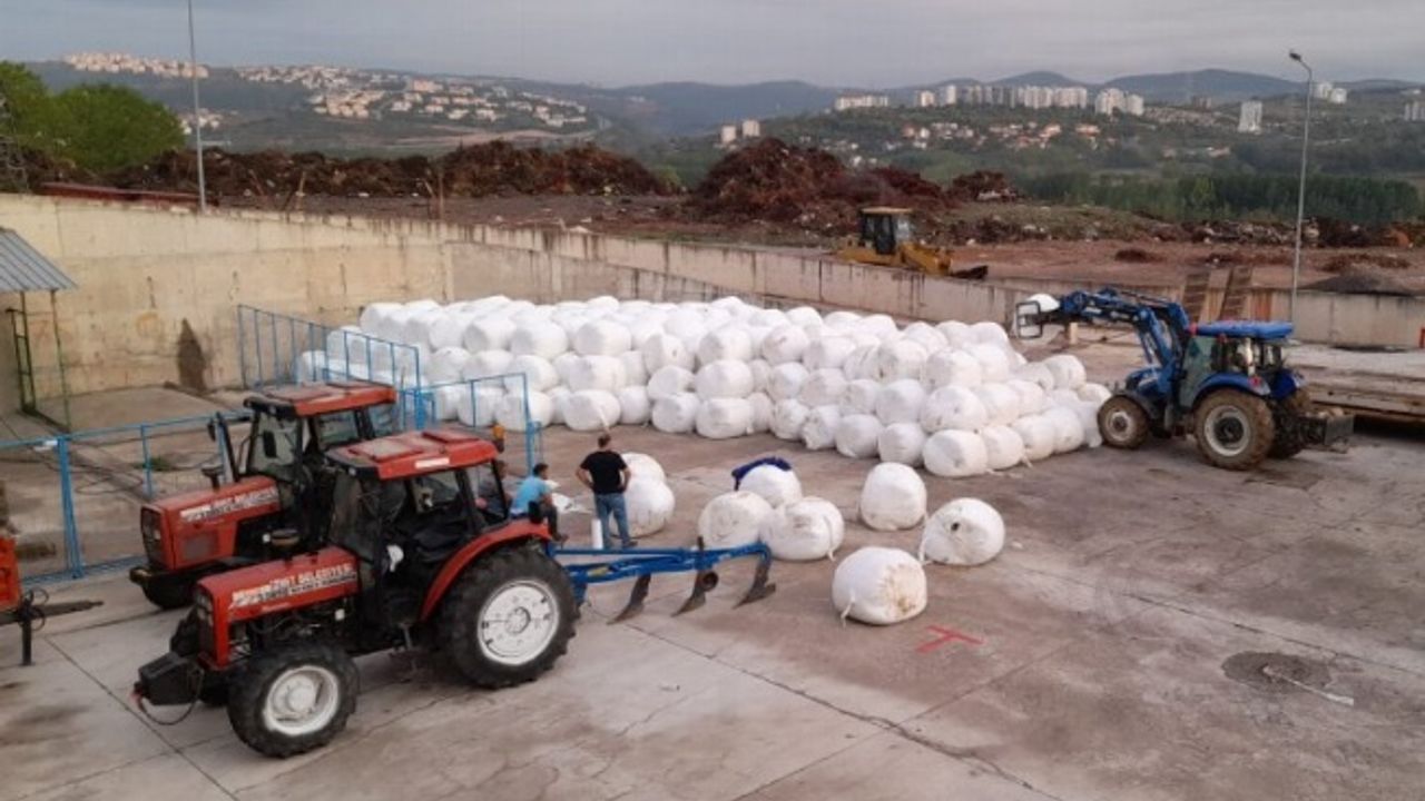 İzmit'te yüzde 100 hibeli silaj başvuruları uzatıldı