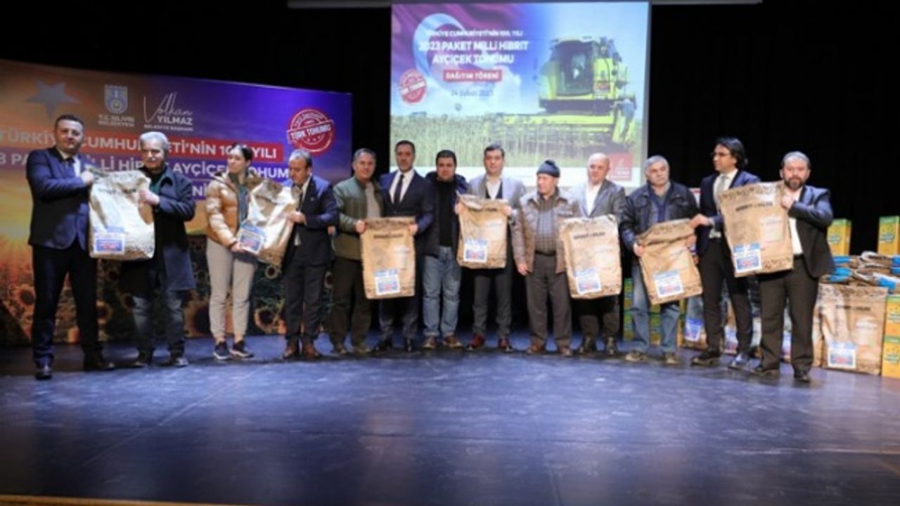 Silivri'de milli ayçiçek atağı başladı