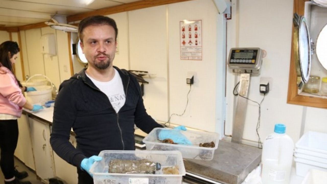 İzmit Körfezi'nde deniz yaşamı kayıt altında