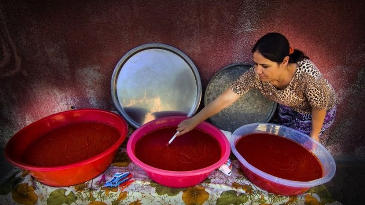 Muğla'ya GEKA destekli Salça Üretim Tesisi kurulacak