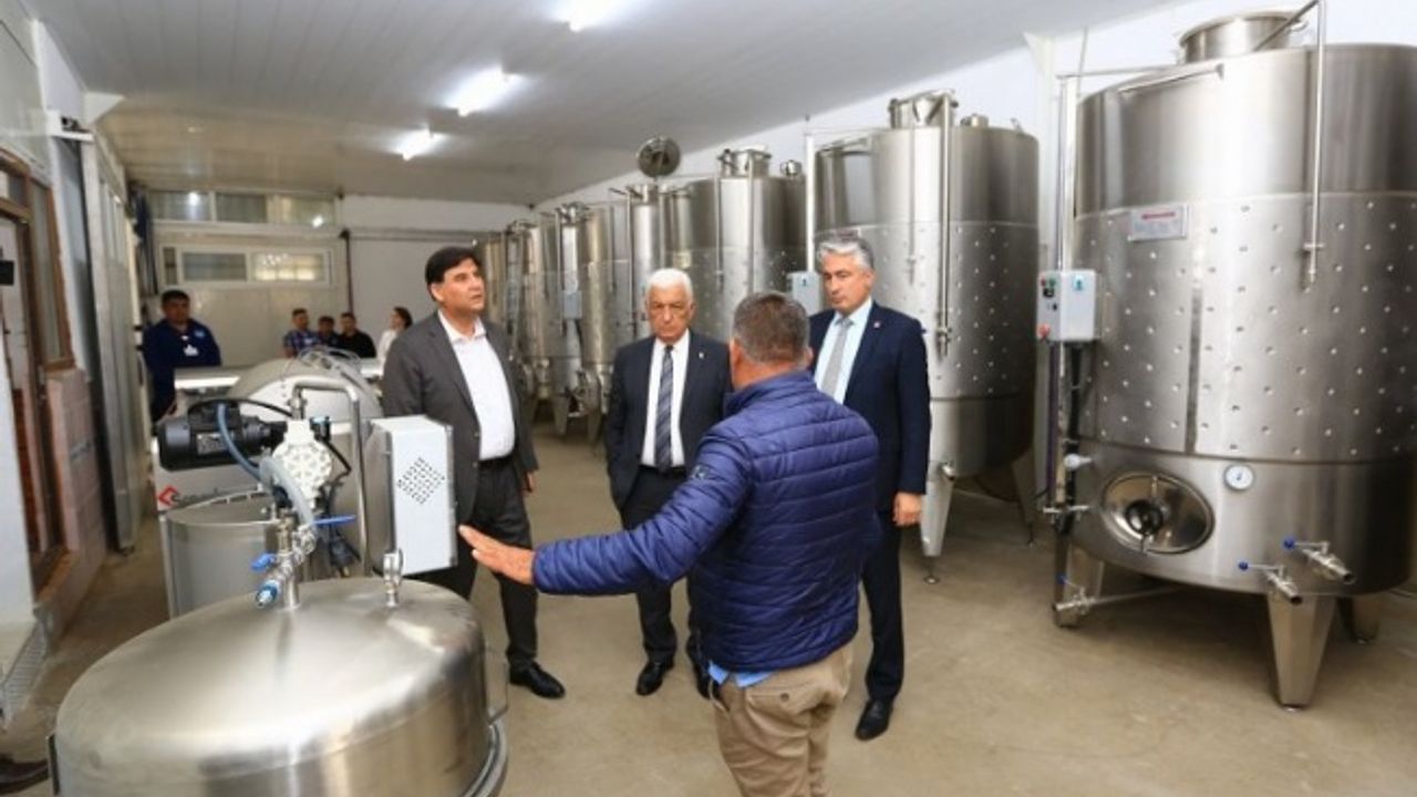 Muğla'ya üzüm suyu, sirke, pekmez ve şarap üretim tesisi