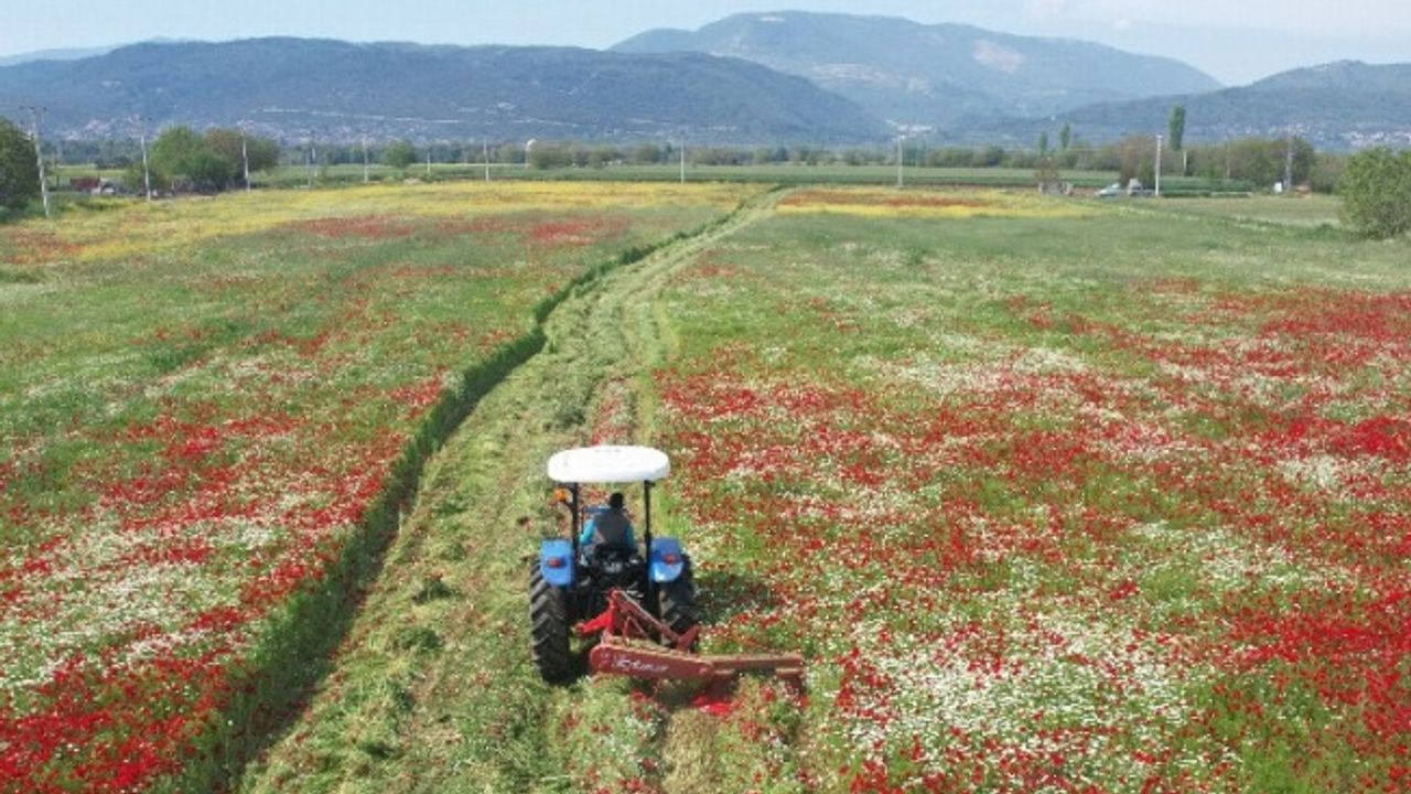 Muğlalı üreticilere 4 bin 500 kaba yem balyası dağıtılacak