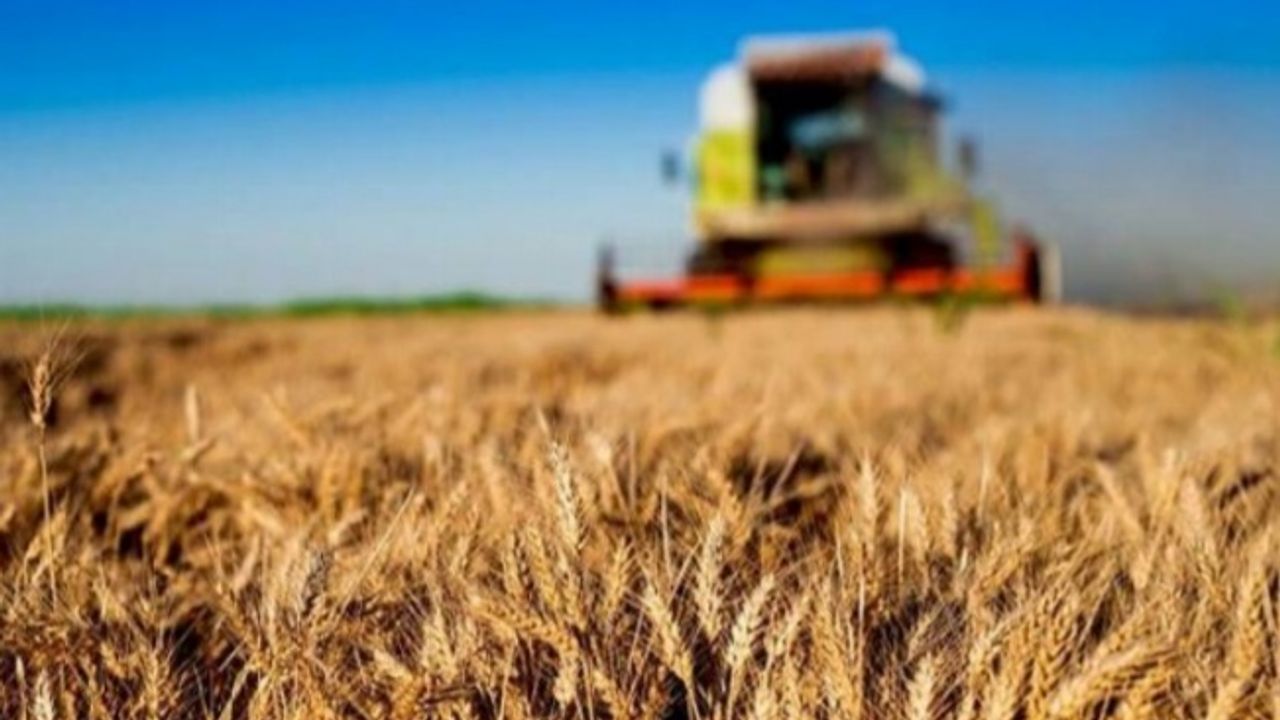 1,5 milyar TL'lik tarımsal destek hesaplara aktarılıyor