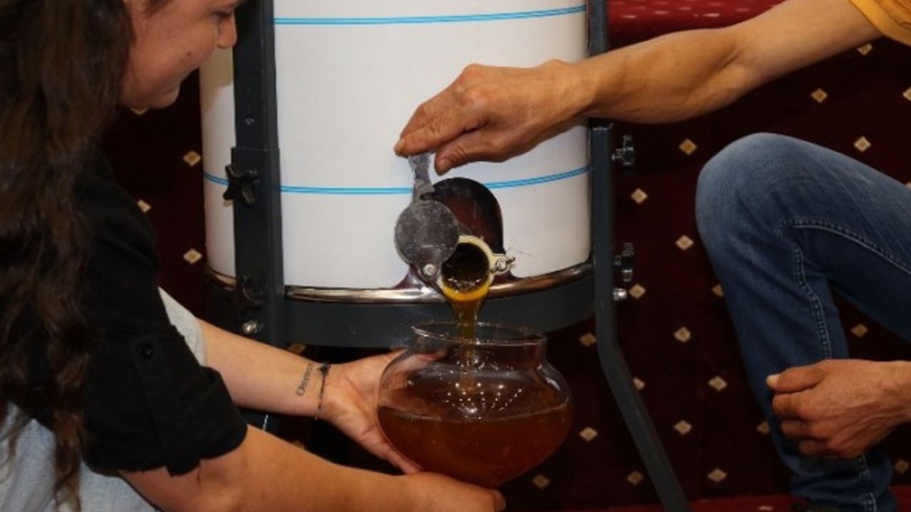 Muğla’da ilk sağım çam balı 61 bin TL!