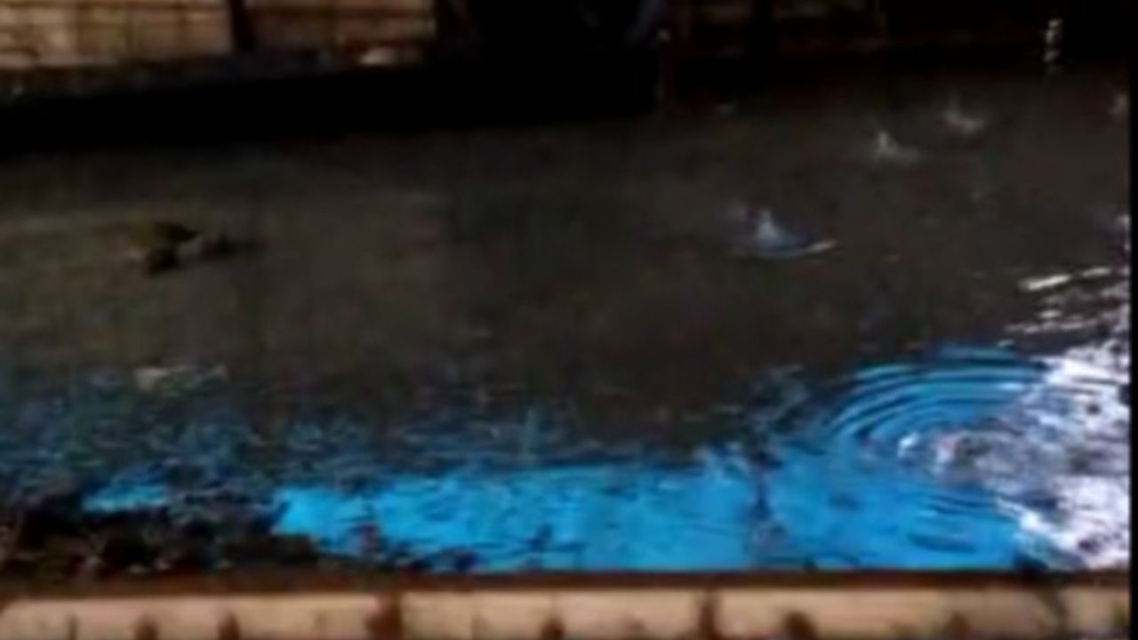 DSİ'nin hatası Akçeşmeli vatandaşın ağılına zarar verdi!