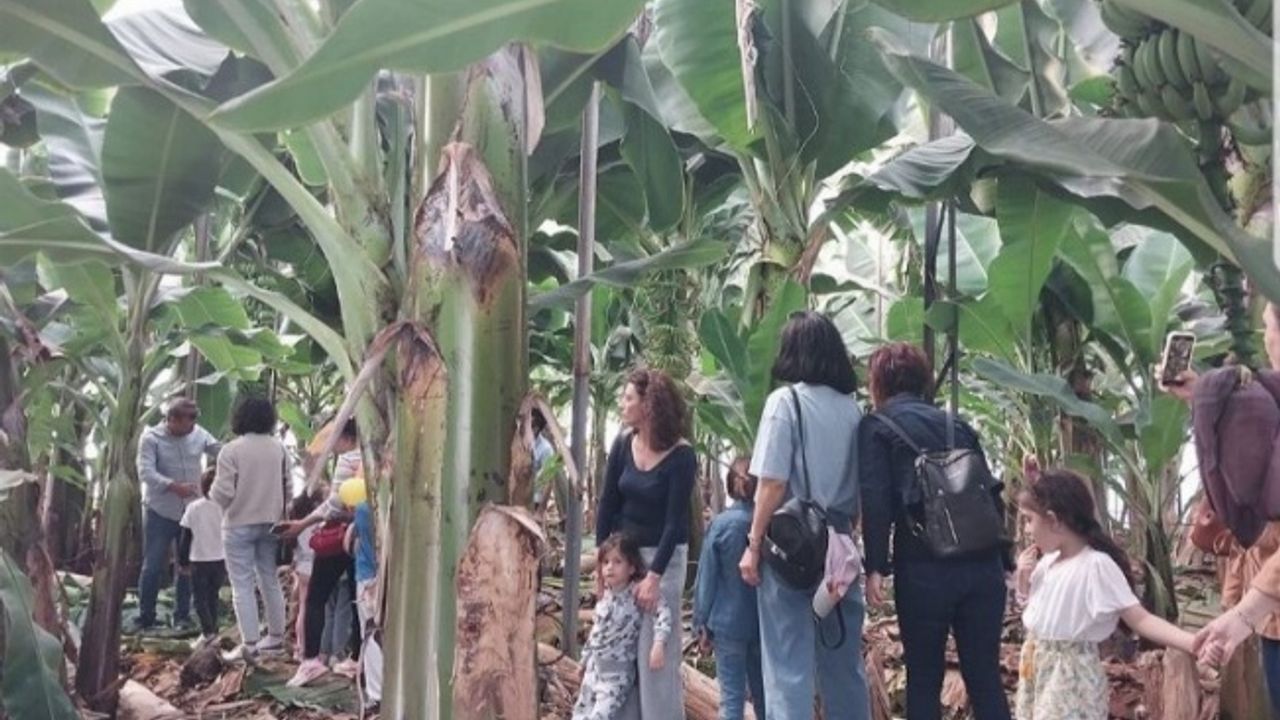 Milli eğitimden Türkiye’de bir ilk! Çağdaş terapi ve doğaya uyum projesi