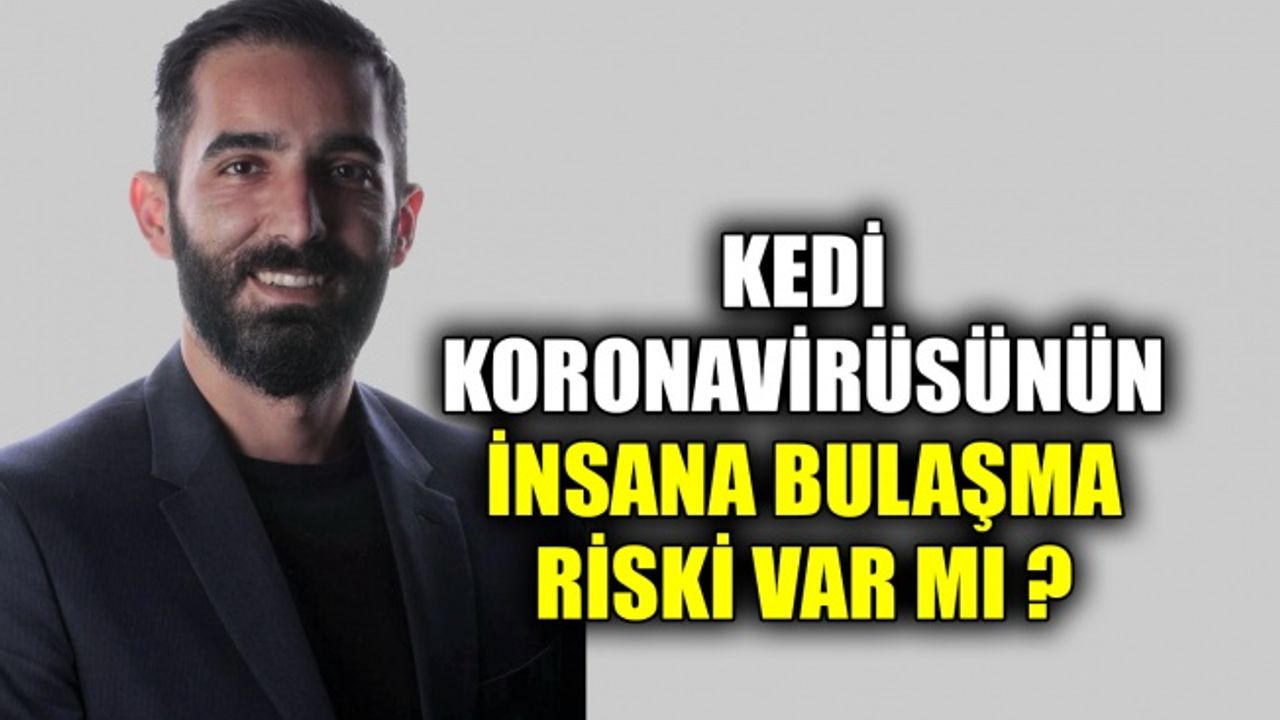 Yakın Doğu Üniversitesi araştırmacıları açıkladı: Kedi koronavirüsünün insana bulaşma riski var mı ?