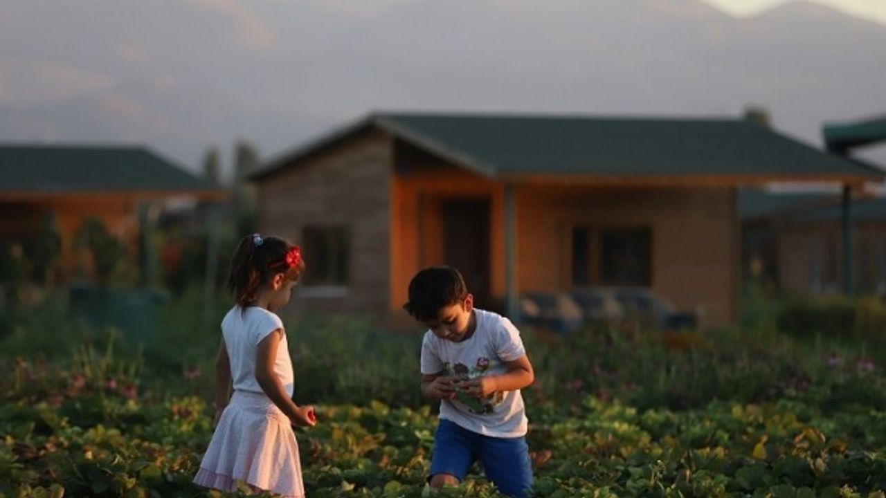 Büyükşehir’de 2 bin 543 adet “hobi bahçesi” başvuruları başladı
