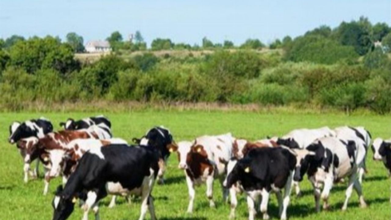 IPARD II programı ile 45 projeye 210,6 milyon TL hibe desteği