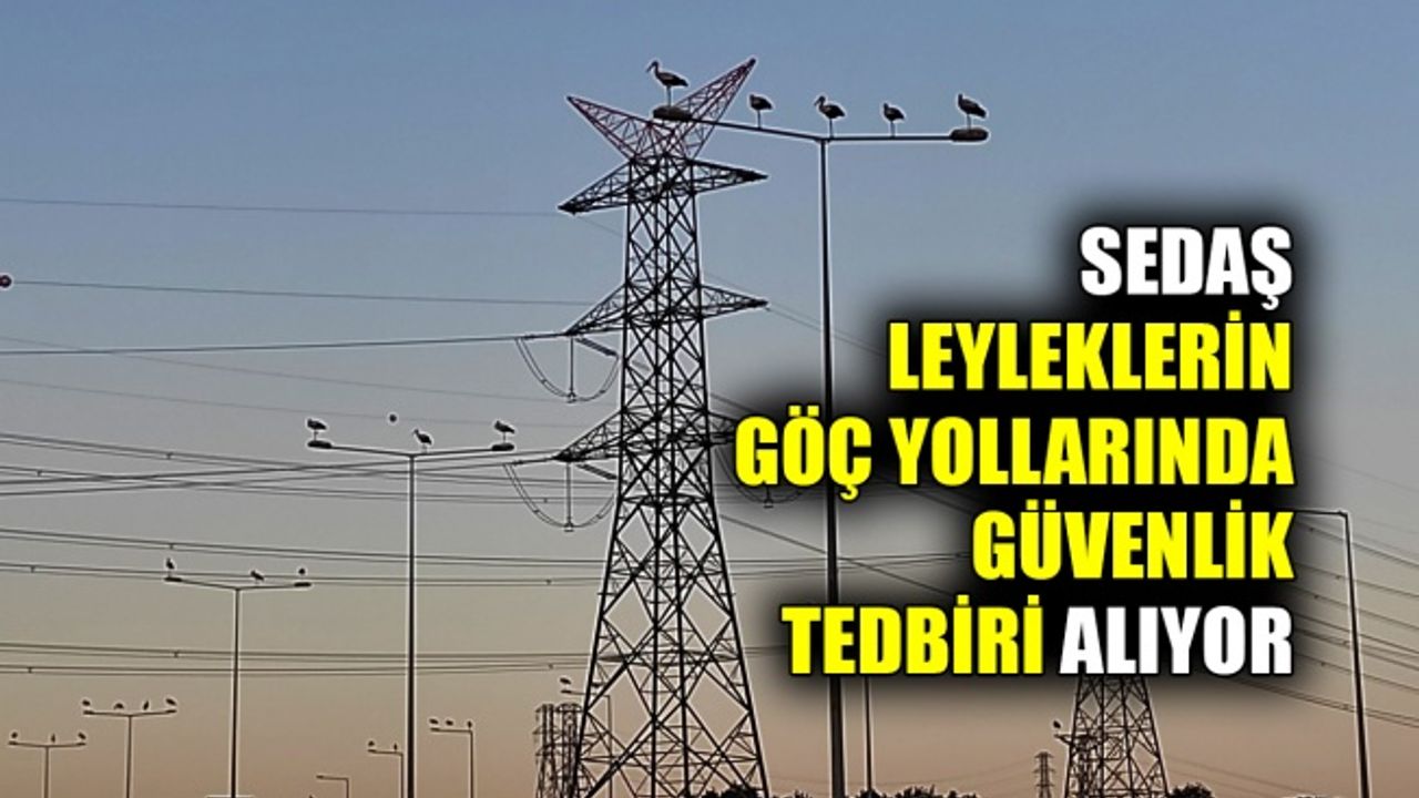 SEDAŞ leyleklerin göç yollarında güvenlik tedbiri alıyor