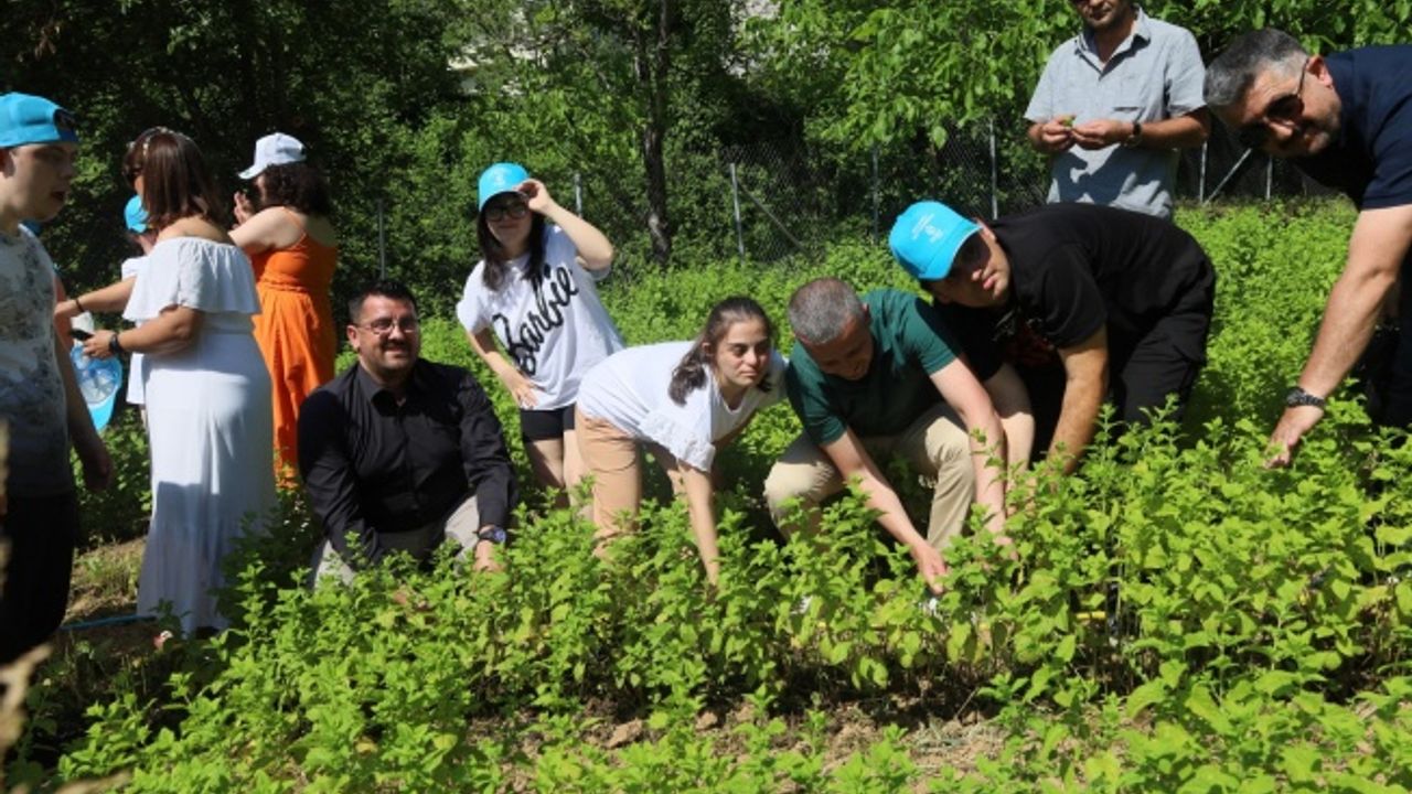 Özel çocuklarımız sebze ve aromatik bitki yetiştiriyor