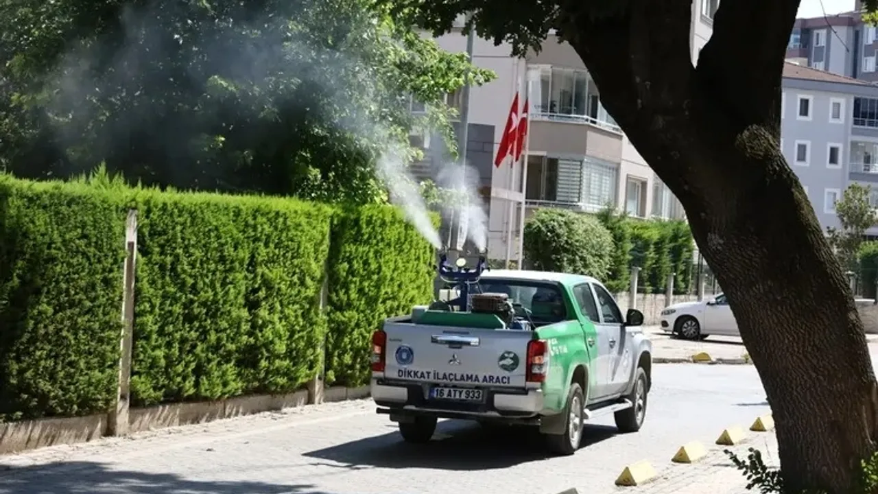 Bursa’da yetersiz ilaçlama, sinek istilasına kapı aralıyor