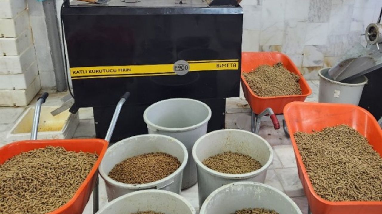 Muğla'da can dostlar için binlerce kilo mama üretildi