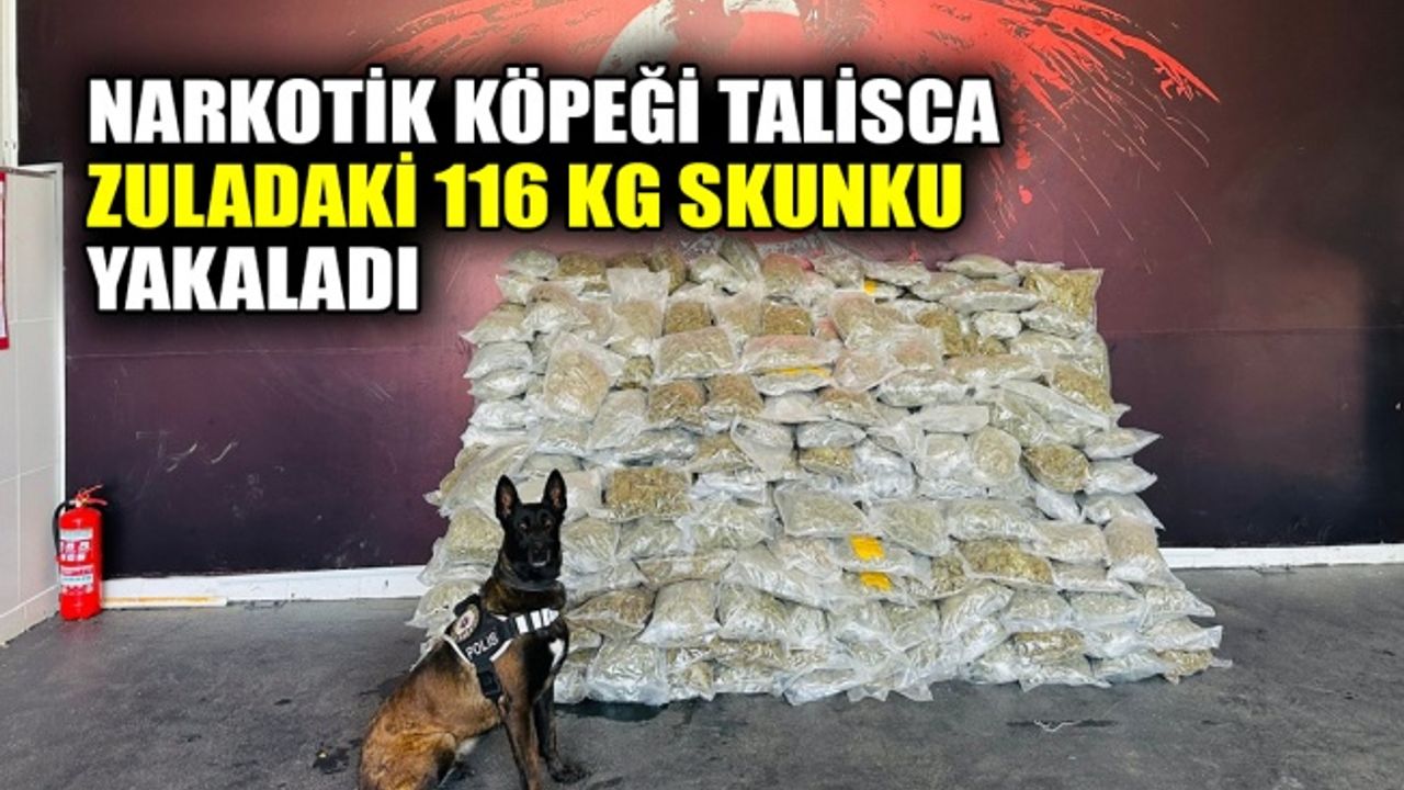Narkotik köpeği Talisca zuladaki 116 kg skunku yakaladı