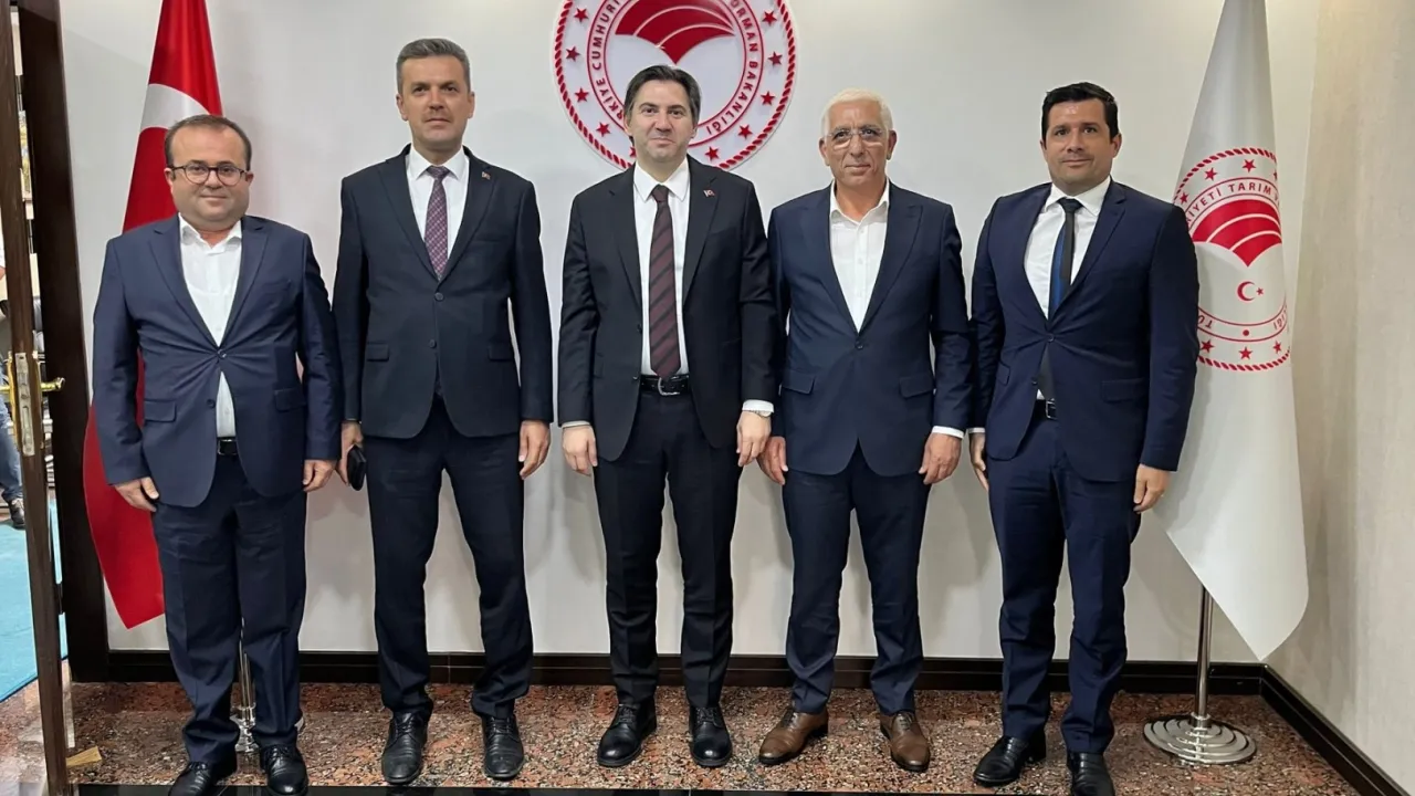 Zeytin hasadı öncesi Marmarabirlik'ten bakanlık nezdinde görüşme... İhracat kısıtlaması kaldırılmalı!