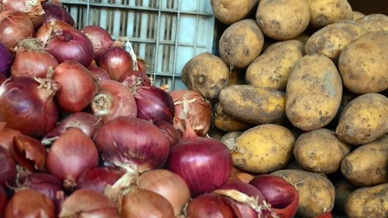Üretici ile market makası yine büyük! Devlet müdahale etmeli!