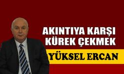 Akıntıya karşı kürek çekmek