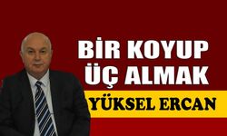 Bir koyup üç almak