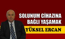 Solunum cihazına bağlı yaşamak