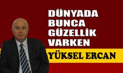 Dünyada bunca güzellik varken