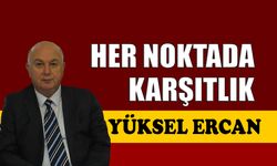 Her noktada karşıtlık