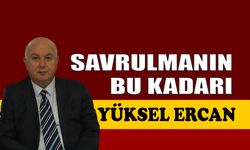 Savrulmanın bu kadarı