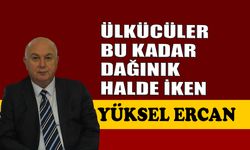 Ülkücüler bu kadar dağınık halde iken