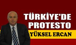 Türkiye'de protesto