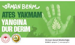 OGM uyardı: Sıcaklık artışı orman yangınlarını tetikleyebilir
