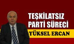 Teşkilatsız parti süreci