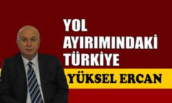 Yol ayırımındaki Türkiye