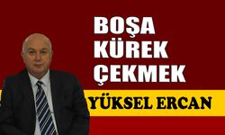 Boşa kürek çekmek