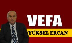 Vefa