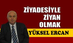 Ziyadesiyle ziyan olmak